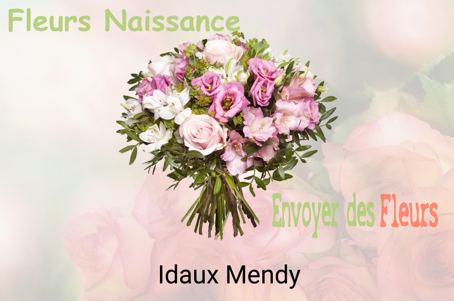 Bouquet de fleurs de naissance livré à Idaux-Mendy